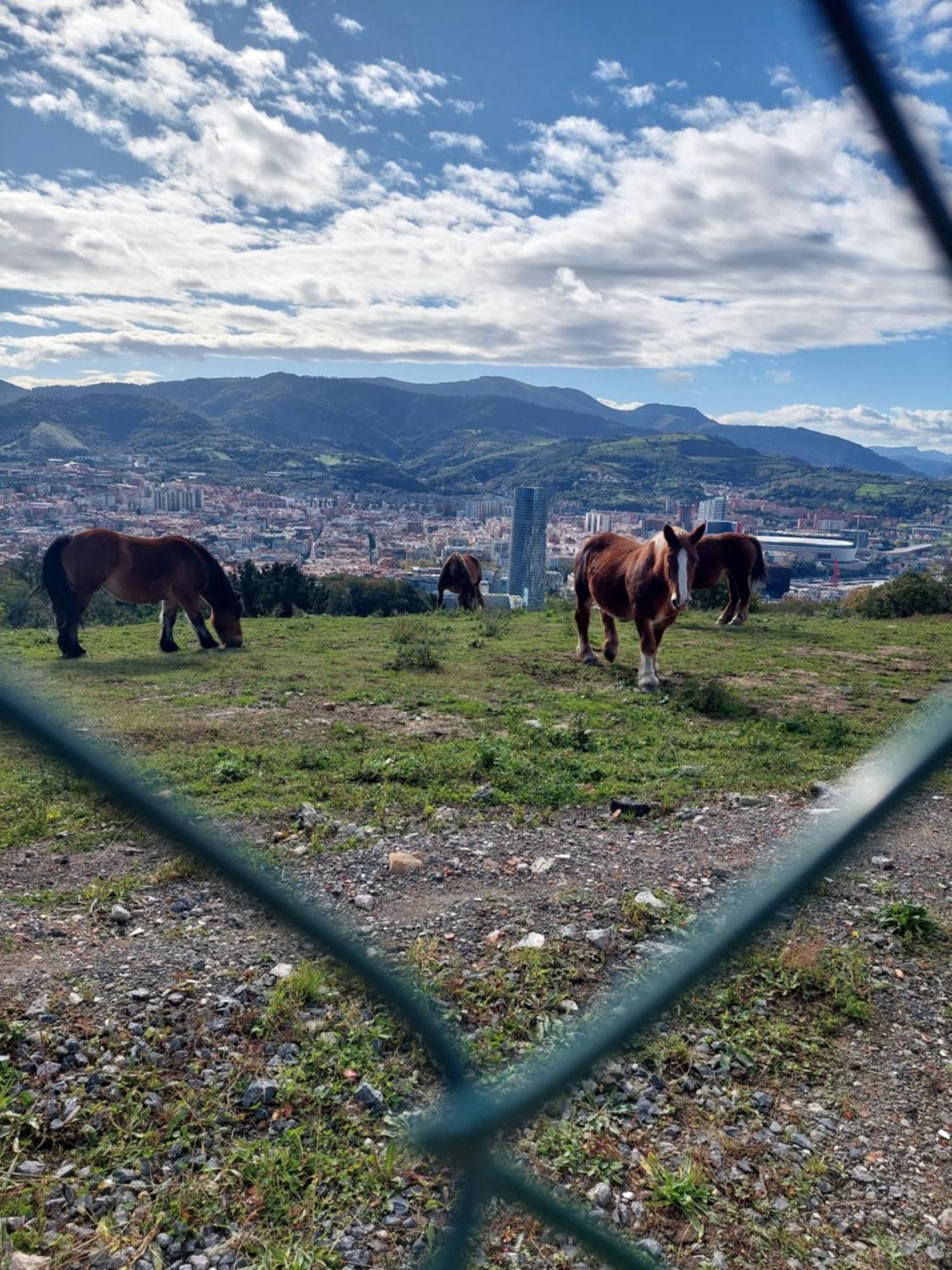 Bilbao Center Apt 90'S Parking Διαμέρισμα Εξωτερικό φωτογραφία